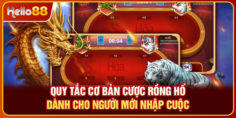Quy tắc cơ bản cược rồng hổ dành cho người mới nhập cuộc