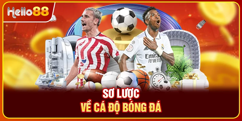 Sơ lược về cá độ bóng đá